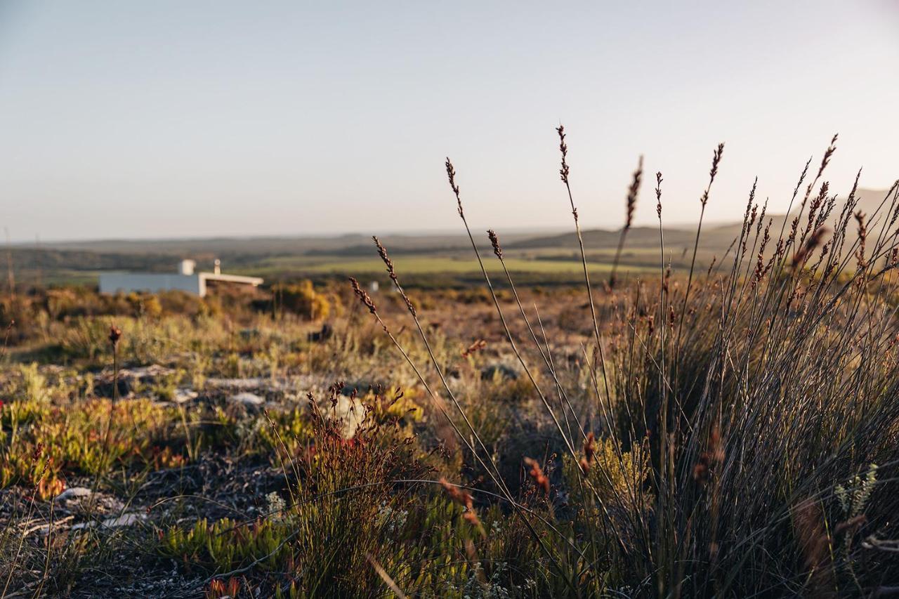 Farm 215 Private Nature Reserve Uilenkraal Eksteriør billede